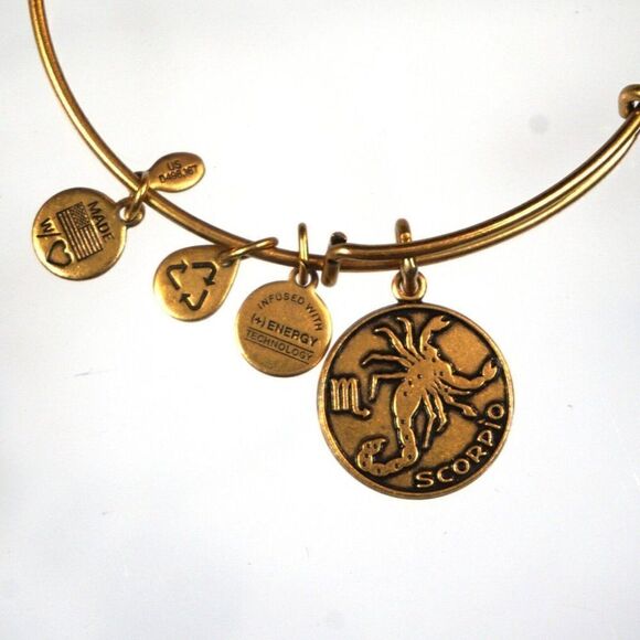 ALEX & ANI Scorpio Bracelet Energy Charm Gold Tone Bangle 2013 - Picture 4 of 6
